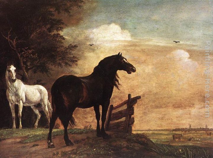 Paulus Potter Horses in a Field